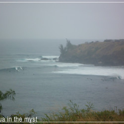 Pictures of the day – Honolua in the myst