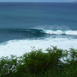 Frühjahrs Barrels aus dem Norden