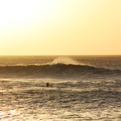 Ein weiterer solider Swell at H-Bay