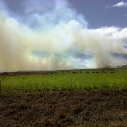 Wieder mal ein Brand auf Maui