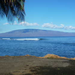 Surfcheck in Lahaina