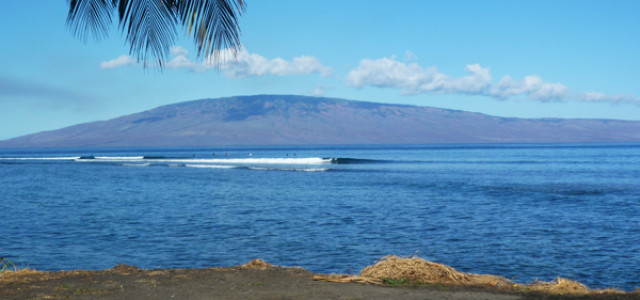 Surfcheck in Lahaina