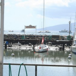 Tsunami in Lahaina