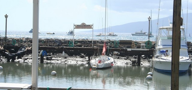 Tsunami in Lahaina